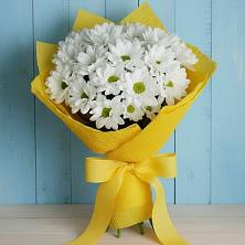 Букет цветов из:  Хризантемы в Берёзовском Кемеровской области