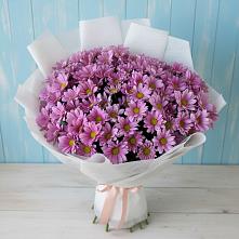 Букет цветов из:  Хризантемы в Берёзовском Кемеровской области