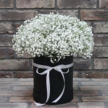 Цветочная композиция из Гипсофила в шляпной коробке #REPLACE_PRED# Берёзовском Кемеровской области