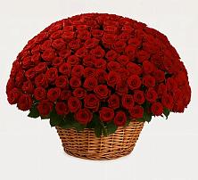 Премиум букет из: Розы в Берёзовском Кемеровской области