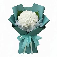 Букет цветов из:  Гортензия в Берёзовском Кемеровской области